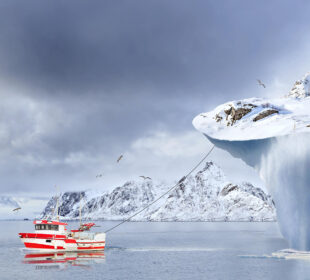 Towing of an Iceberg